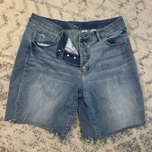 Time and Tru Classic Blue Jean Shorts